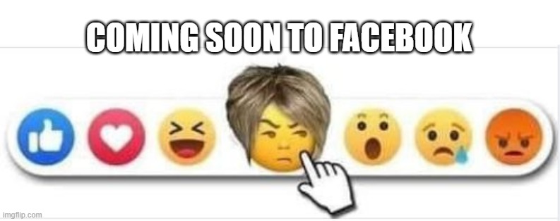 We Need This Option!!! | COMING SOON TO FACEBOOK | image tagged in facebook,emoji | made w/ Imgflip meme maker