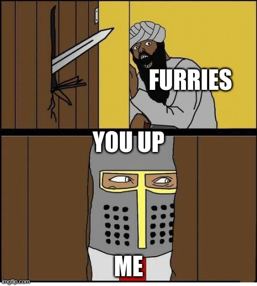 you up? | FURRIES; YOU UP; ME | image tagged in crusader | made w/ Imgflip meme maker