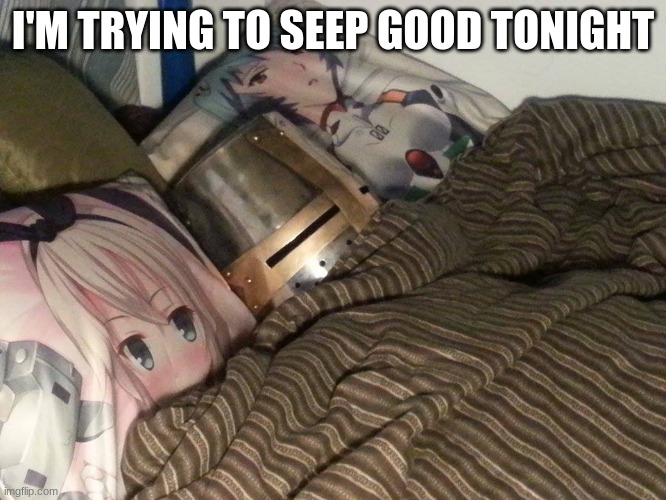 Weeb Crusader | I'M TRYING TO SEEP GOOD TONIGHT | image tagged in weeb crusader | made w/ Imgflip meme maker