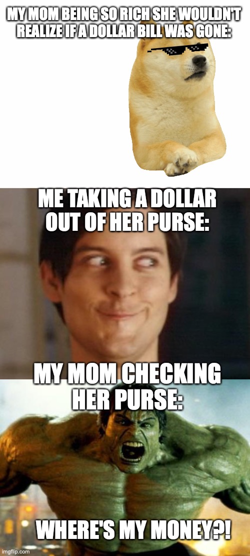 Money Mom | MY MOM BEING SO RICH SHE WOULDN'T REALIZE IF A DOLLAR BILL WAS GONE:; ME TAKING A DOLLAR OUT OF HER PURSE:; MY MOM CHECKING HER PURSE:; WHERE'S MY MONEY?! | image tagged in blank white template,memes,spiderman peter parker,hulk | made w/ Imgflip meme maker