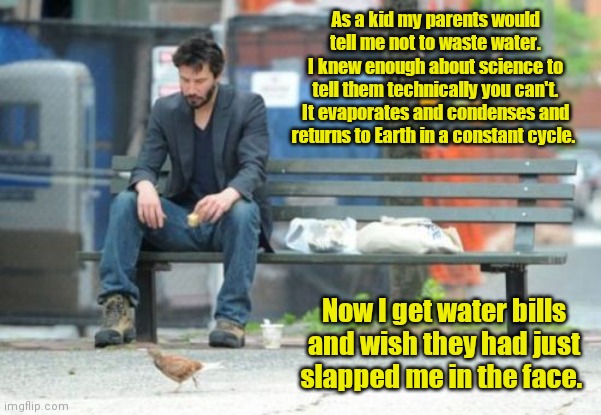 Time to grow up. | As a kid my parents would tell me not to waste water. I knew enough about science to tell them technically you can't. It evaporates and condenses and returns to Earth in a constant cycle. Now I get water bills and wish they had just slapped me in the face. | image tagged in memes,sad keanu,funny | made w/ Imgflip meme maker