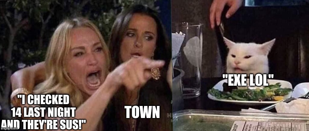 every town of salem game | "EXE LOL"; "I CHECKED 14 LAST NIGHT AND THEY'RE SUS!"; TOWN | image tagged in woman yelling at cat | made w/ Imgflip meme maker