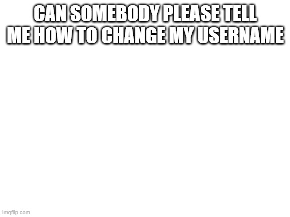 it won't let me | CAN SOMEBODY PLEASE TELL ME HOW TO CHANGE MY USERNAME | image tagged in blank white template | made w/ Imgflip meme maker