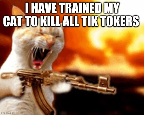 gun | I HAVE TRAINED MY CAT TO KILL ALL TIK TOKERS | image tagged in gun | made w/ Imgflip meme maker