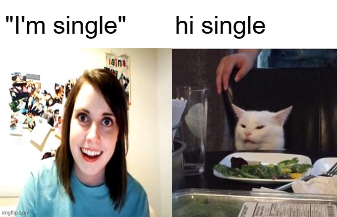 that much is obvious | "I'm single"; hi single | image tagged in meme,cat,annoying facebook girl | made w/ Imgflip meme maker