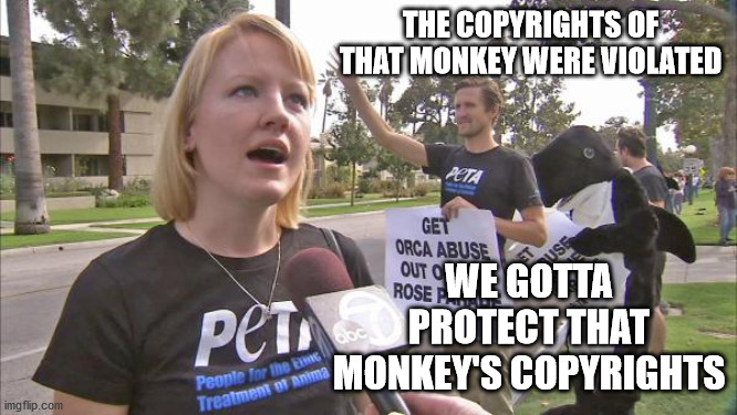 Stupid peta | THE COPYRIGHTS OF THAT MONKEY WERE VIOLATED WE GOTTA PROTECT THAT MONKEY'S COPYRIGHTS | image tagged in stupid peta | made w/ Imgflip meme maker