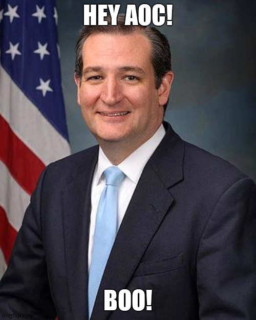 Ted Cruz | HEY AOC! BOO! | image tagged in ted cruz | made w/ Imgflip meme maker