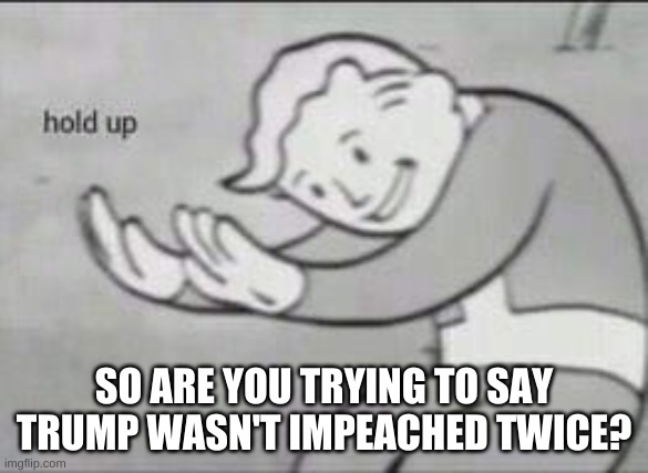 Fallout Hold Up | SO ARE YOU TRYING TO SAY TRUMP WASN'T IMPEACHED TWICE? | image tagged in fallout hold up | made w/ Imgflip meme maker