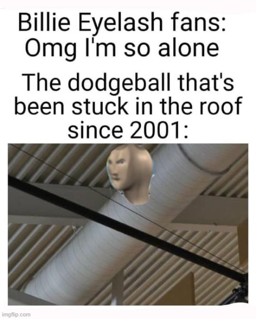 No one has it harder than that dodgeball, no one | image tagged in billie eilish fans,forever alone,lol,billie eilish,pop music,repost | made w/ Imgflip meme maker