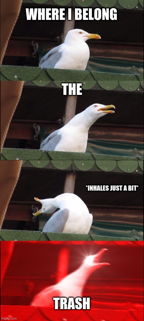 REEEEEEEEEEEEEEEEEEEEEEEEEEEEEEEEEEEEEEEEEEEEEEEEEEEEEEEEEEEEEEEEEEEEEEEE | WHERE I BELONG; THE; *INHALES JUST A BIT*; TRASH | image tagged in memes,inhaling seagull | made w/ Imgflip meme maker