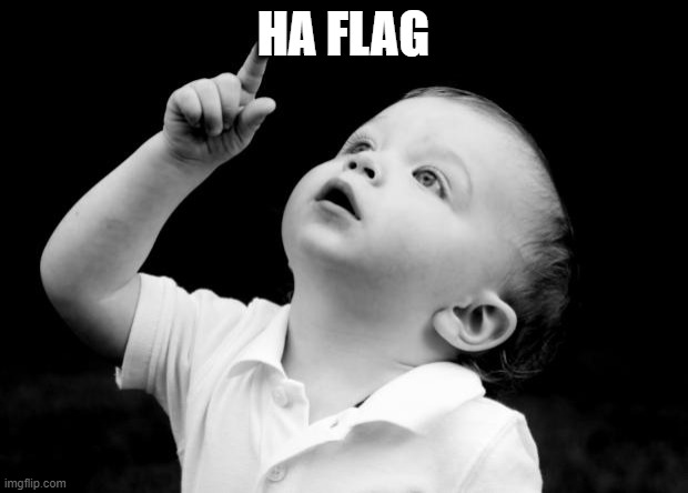 babay pointing up | HA FLAG | image tagged in babay pointing up | made w/ Imgflip meme maker