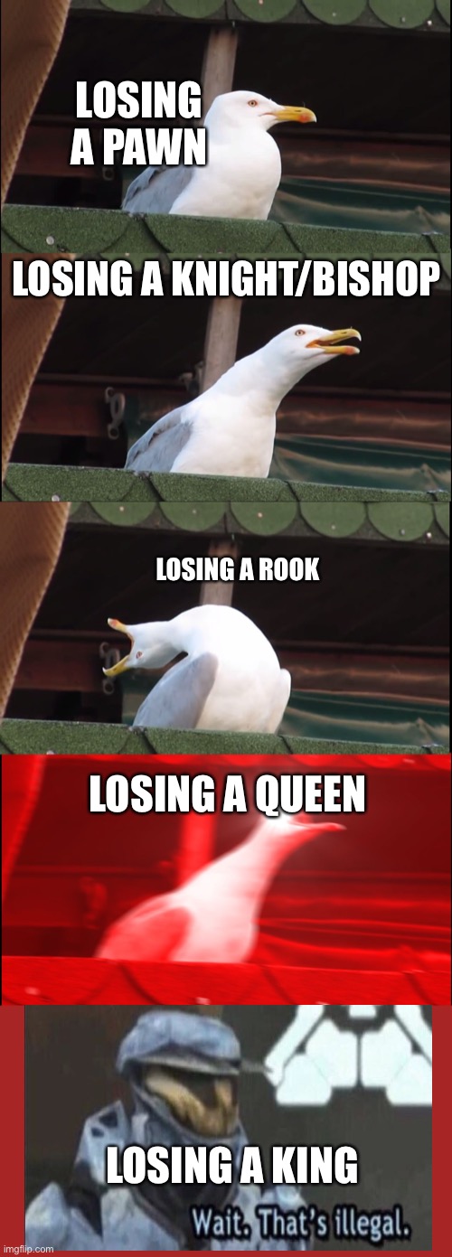 Chess loss | LOSING A PAWN; LOSING A KNIGHT/BISHOP; LOSING A ROOK; LOSING A QUEEN; LOSING A KING | image tagged in memes,inhaling seagull,chess,wait thats illegal | made w/ Imgflip meme maker