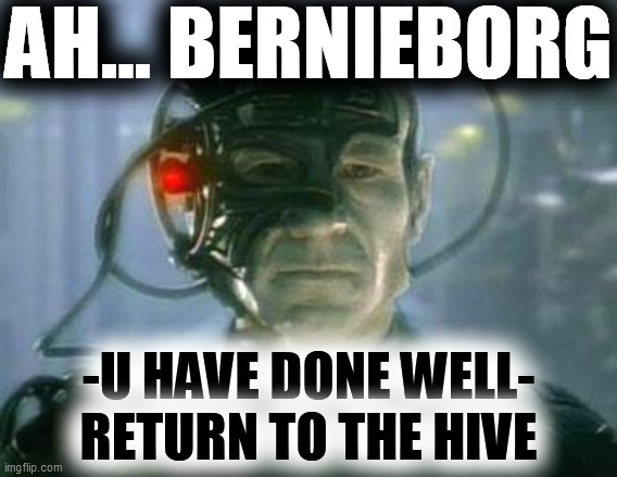 The Borg | AH... BERNIEBORG -U HAVE DONE WELL-
RETURN TO THE HIVE | image tagged in the borg | made w/ Imgflip meme maker