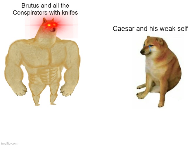 julius caesar | Brutus and all the Conspirators with knifes; Caesar and his weak self | image tagged in memes,buff doge vs cheems | made w/ Imgflip meme maker