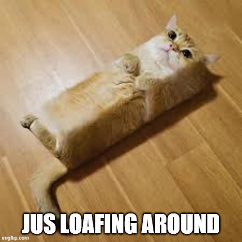 Nailed it! | JUS LOAFING AROUND | image tagged in minecraft | made w/ Imgflip meme maker
