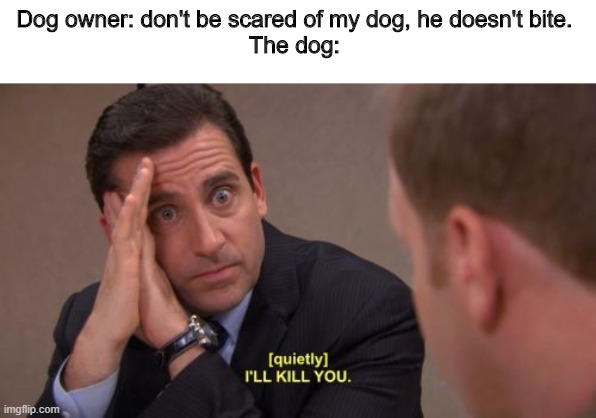 I'll kill you |  Dog owner: don't be scared of my dog, he doesn't bite.
The dog: | image tagged in i'll kill you | made w/ Imgflip meme maker