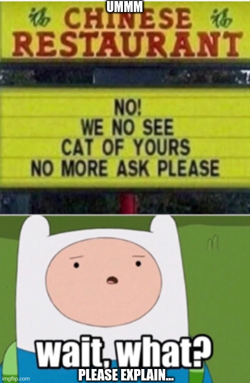 please explain | UMMM; PLEASE EXPLAIN... | image tagged in wait what | made w/ Imgflip meme maker