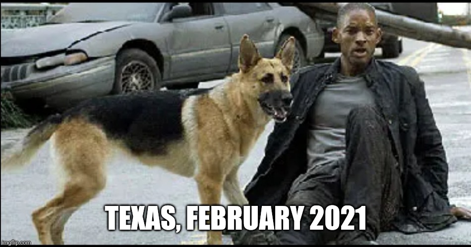 Texas, February 2031 | TEXAS, FEBRUARY 2021 | image tagged in texas,snowstorm,will smith | made w/ Imgflip meme maker