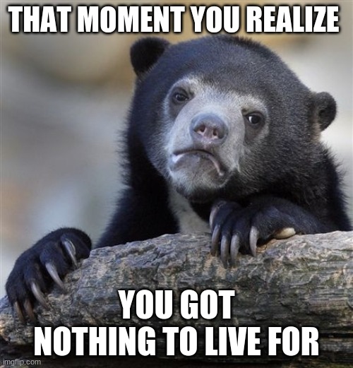 poor bear | THAT MOMENT YOU REALIZE; YOU GOT NOTHING TO LIVE FOR | image tagged in memes,confession bear | made w/ Imgflip meme maker