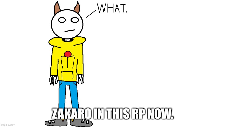 Endless possibilities | ZAKARO IN THIS RP NOW. | image tagged in zakaro what,endless | made w/ Imgflip meme maker