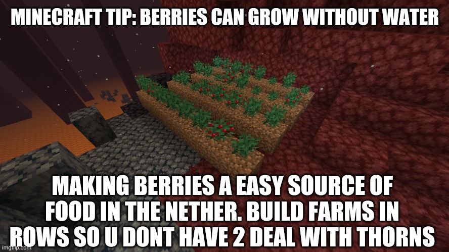 Minecraft tip | MINECRAFT TIP: BERRIES CAN GROW WITHOUT WATER; MAKING BERRIES A EASY SOURCE OF FOOD IN THE NETHER. BUILD FARMS IN ROWS SO U DONT HAVE 2 DEAL WITH THORNS | made w/ Imgflip meme maker