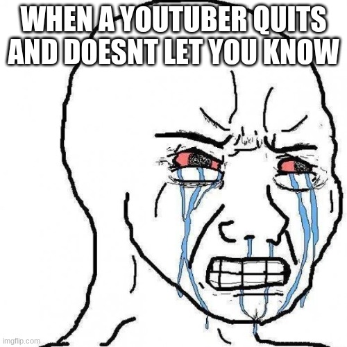 Don't ya hate when that sh*t happens? | WHEN A YOUTUBER QUITS AND DOESNT LET YOU KNOW | image tagged in angry tears | made w/ Imgflip meme maker