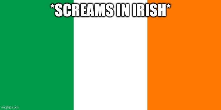 Irish Flag | *SCREAMS IN IRISH* | image tagged in irish flag | made w/ Imgflip meme maker