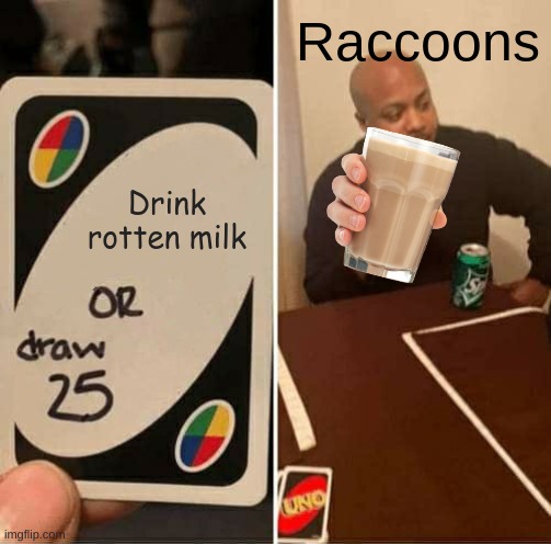 UNO Draw 25 Cards | Raccoons; Drink rotten milk | image tagged in memes,uno draw 25 cards | made w/ Imgflip meme maker