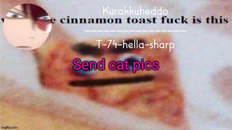 Send cat pics | made w/ Imgflip meme maker