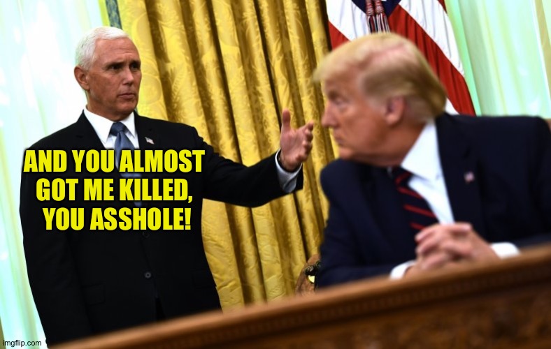 Pence & Trump | AND YOU ALMOST 
GOT ME KILLED, 
YOU ASSHOLE! | image tagged in pence trump | made w/ Imgflip meme maker