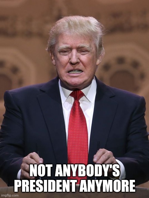 Donald Trump | NOT ANYBODY'S PRESIDENT ANYMORE | image tagged in donald trump | made w/ Imgflip meme maker