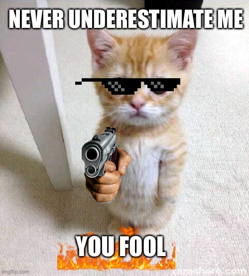 I underestimated this guy. Goodbye world! | NEVER UNDERESTIMATE ME; YOU FOOL | image tagged in memes,cute cat | made w/ Imgflip meme maker