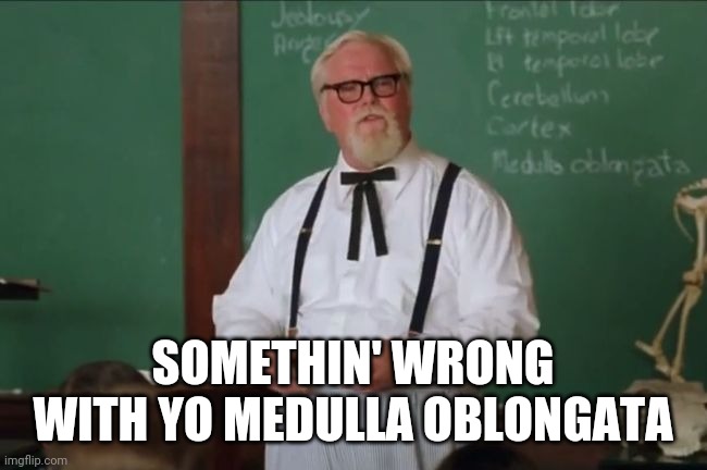 Waterboy Colonel Sanders | SOMETHIN' WRONG WITH YO MEDULLA OBLONGATA | image tagged in waterboy colonel sanders | made w/ Imgflip meme maker
