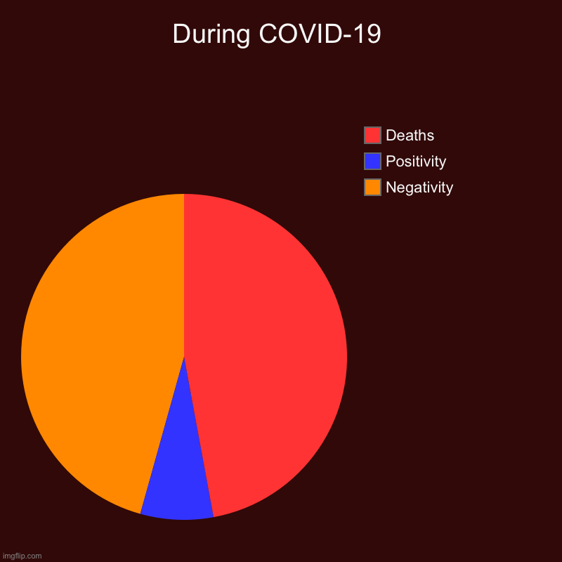 DURING COVID-19 | During COVID-19 | Negativity , Positivity, Deaths | image tagged in charts,pie charts | made w/ Imgflip chart maker