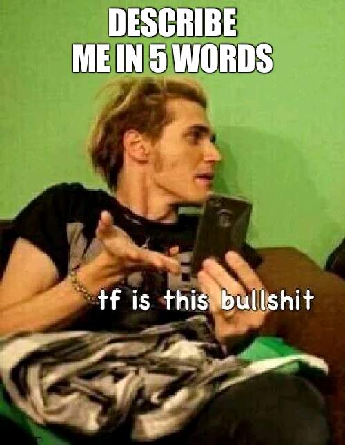 tf is this bs | DESCRIBE ME IN 5 WORDS | image tagged in tf is this bs | made w/ Imgflip meme maker