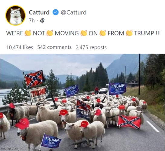 [Trump supporters stuck in road; please assist] | image tagged in gab trump,trump supporters sheeple,trump supporters,sheeple,trump,donald trump | made w/ Imgflip meme maker