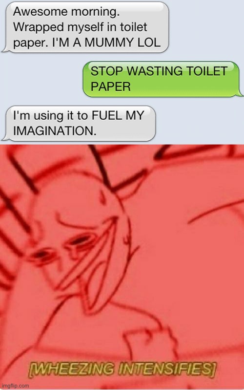 .... wheeze | image tagged in wheeze,memes,funny,texting,text messages,oop | made w/ Imgflip meme maker