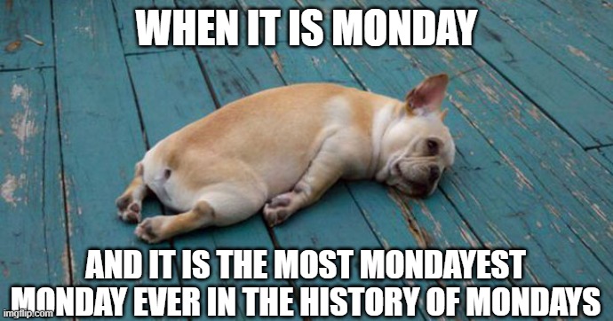 Guess what day it is? | WHEN IT IS MONDAY; AND IT IS THE MOST MONDAYEST MONDAY EVER IN THE HISTORY OF MONDAYS | image tagged in exhausted,monday,mondays,i hate mondays,funny,funny memes | made w/ Imgflip meme maker