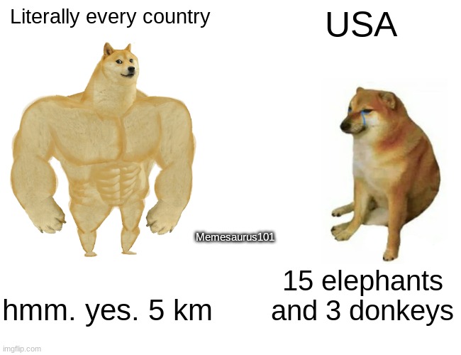 ah, yes. this image is 3 cats long | Literally every country; USA; Memesaurus101; hmm. yes. 5 km; 15 elephants and 3 donkeys | image tagged in memes,buff doge vs cheems | made w/ Imgflip meme maker