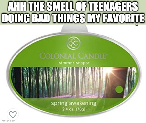 GAHDUSUDJJ | AHH THE SMELL OF TEENAGERS DOING BAD THINGS MY FAVORITE | made w/ Imgflip meme maker