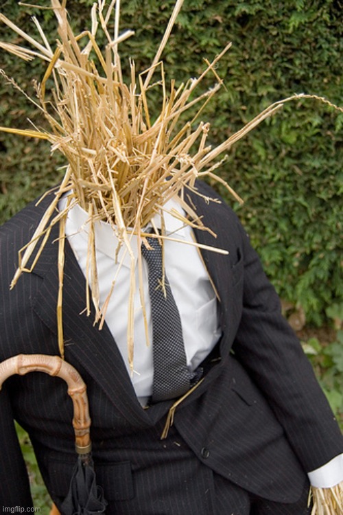 Straw Man | image tagged in straw man | made w/ Imgflip meme maker