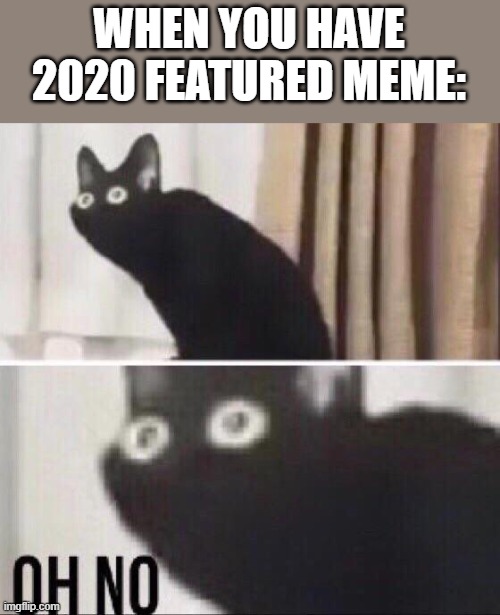 Oh no cat | WHEN YOU HAVE 2020 FEATURED MEME: | image tagged in oh no cat | made w/ Imgflip meme maker
