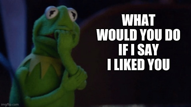 or love~ | WHAT WOULD YOU DO IF I SAY I LIKED YOU | image tagged in nervous kermit | made w/ Imgflip meme maker