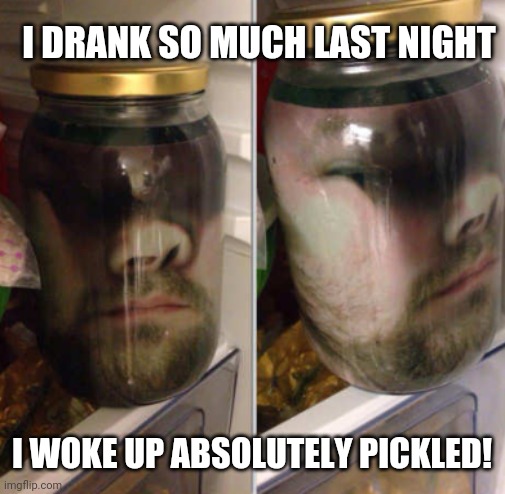 I DRANK SO MUCH LAST NIGHT; I WOKE UP ABSOLUTELY PICKLED! | image tagged in pickled | made w/ Imgflip meme maker