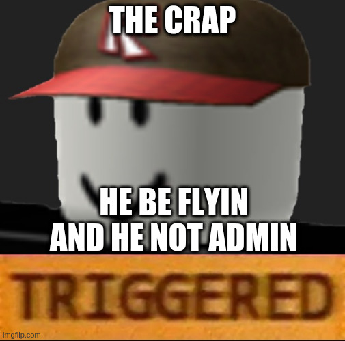 Roblox Triggered | THE CRAP; HE BE FLYIN AND HE NOT ADMIN | image tagged in roblox triggered,hackers why | made w/ Imgflip meme maker