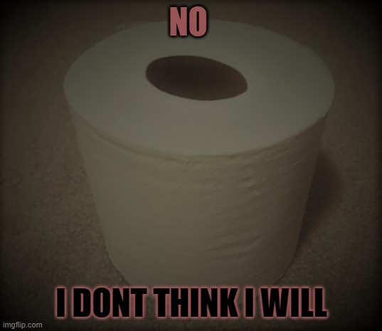 toliet paper | NO I DONT THINK I WILL | image tagged in toliet paper | made w/ Imgflip meme maker