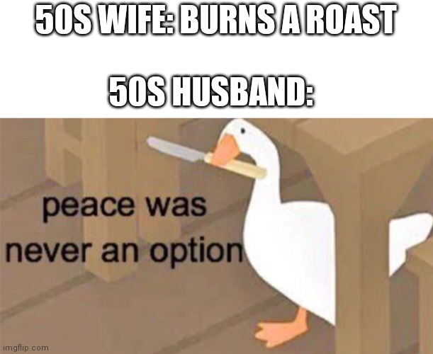 50s tv shows in a nutshell |  50S WIFE: BURNS A ROAST; 50S HUSBAND: | image tagged in untitled goose peace was never an option,memes,funny,1950s,1950s housewife | made w/ Imgflip meme maker