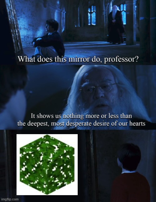 leaves | image tagged in harry potter mirror | made w/ Imgflip meme maker