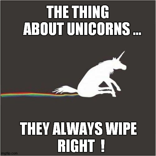 Unicorns Wiping Out Rainbows ! |  THE THING; ABOUT UNICORNS ... THEY ALWAYS WIPE; RIGHT  ! | image tagged in fun,unicorns,rainbows,wipe | made w/ Imgflip meme maker