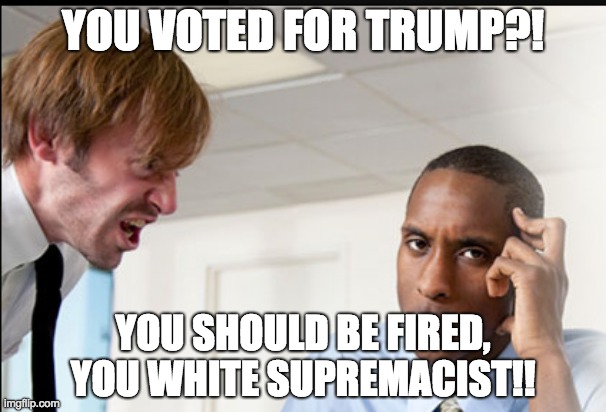 white supremacist | YOU VOTED FOR TRUMP?! YOU SHOULD BE FIRED, YOU WHITE SUPREMACIST!! | image tagged in donald trump,vote,white | made w/ Imgflip meme maker